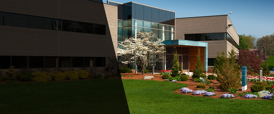Endicott Landscapers
