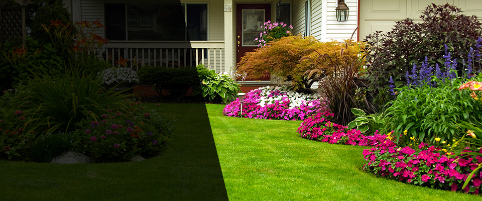 Endicott Landscapers